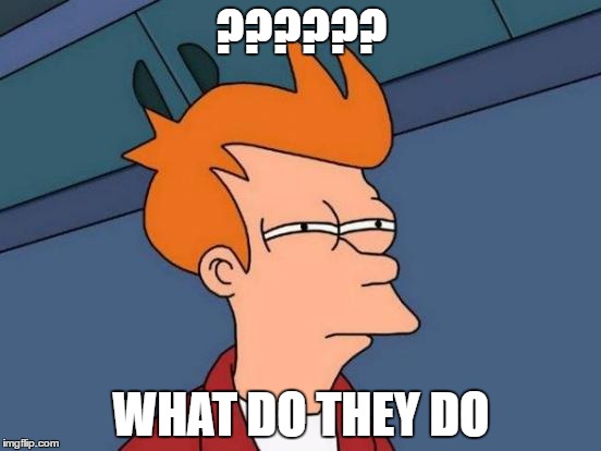 Futurama Fry | ?????? WHAT DO THEY DO | image tagged in memes,futurama fry | made w/ Imgflip meme maker