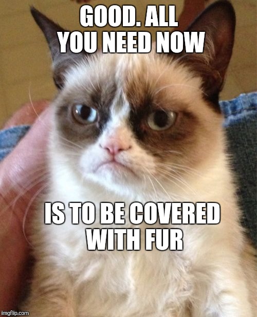 Grumpy Cat Meme | GOOD. ALL YOU NEED NOW IS TO BE COVERED WITH FUR | image tagged in memes,grumpy cat | made w/ Imgflip meme maker