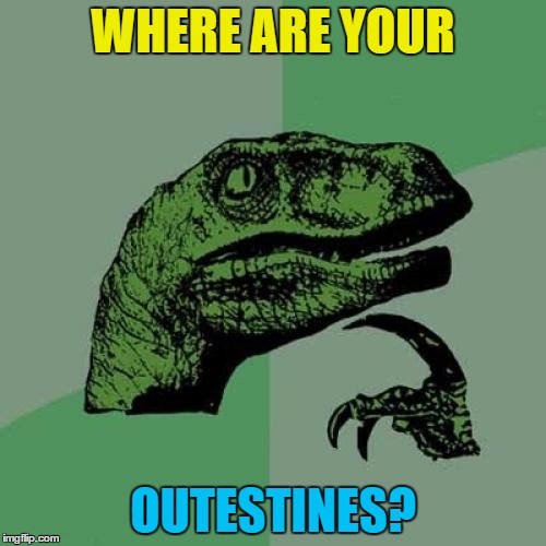 We know where the INtestines are... | WHERE ARE YOUR; OUTESTINES? | image tagged in memes,philosoraptor,intestines,medicine | made w/ Imgflip meme maker