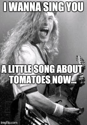 Memes | I WANNA SING YOU A LITTLE SONG ABOUT TOMATOES NOW... | image tagged in memes | made w/ Imgflip meme maker