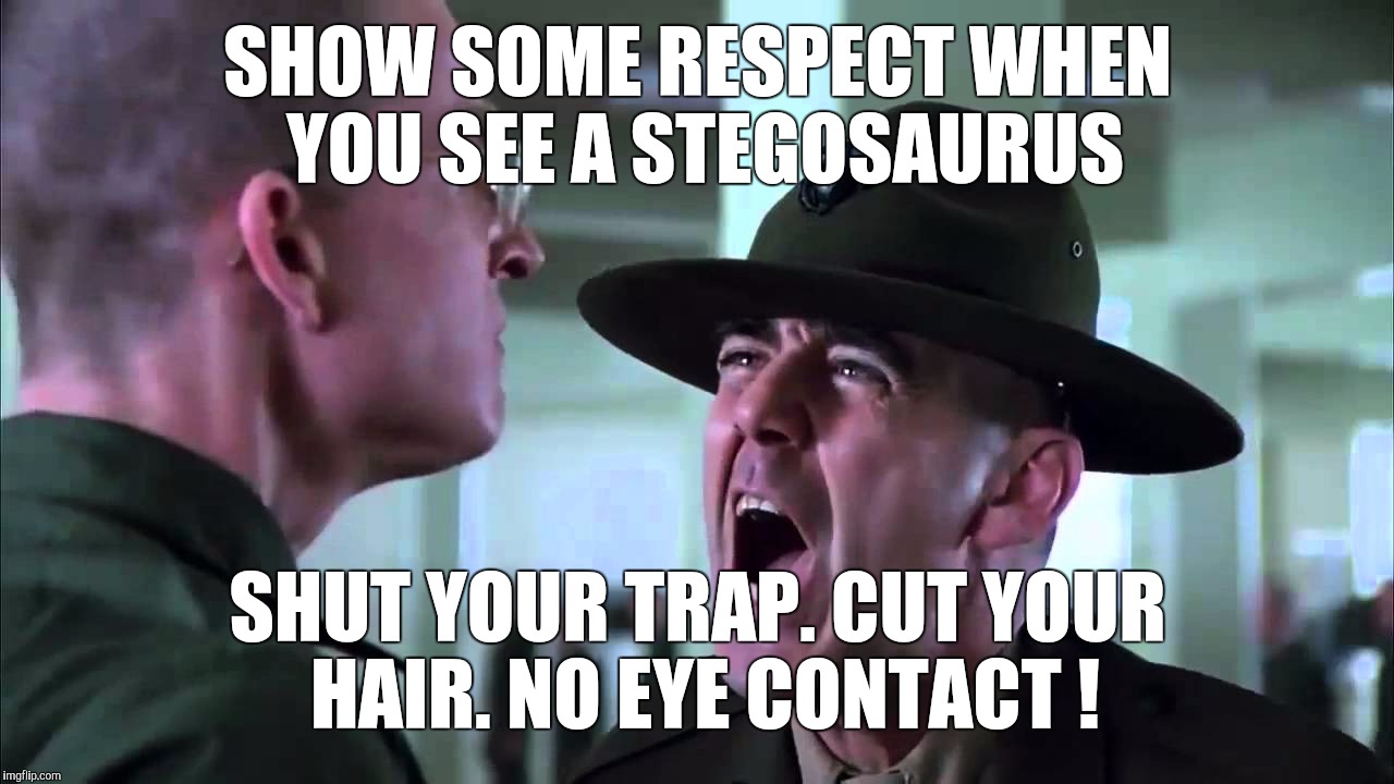 Memes | SHOW SOME RESPECT WHEN YOU SEE A STEGOSAURUS SHUT YOUR TRAP. CUT YOUR HAIR. NO EYE CONTACT ! | image tagged in memes | made w/ Imgflip meme maker