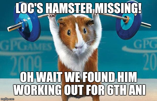 Funny exercise  |  LOC'S HAMSTER MISSING! OH WAIT WE FOUND HIM WORKING OUT FOR 6TH ANI | image tagged in funny exercise | made w/ Imgflip meme maker