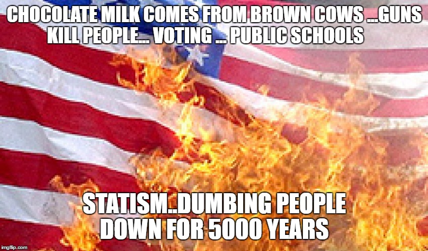 Burning Flag | CHOCOLATE MILK COMES FROM BROWN COWS ...GUNS KILL PEOPLE... VOTING ... PUBLIC SCHOOLS; STATISM..DUMBING PEOPLE DOWN FOR 5000 YEARS | image tagged in burning flag | made w/ Imgflip meme maker