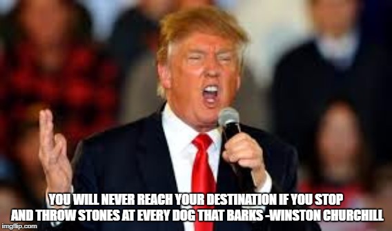 Donald Trump | YOU WILL NEVER REACH YOUR DESTINATION IF YOU STOP AND THROW STONES AT EVERY DOG THAT BARKS -WINSTON CHURCHILL | image tagged in donald trump,winston churchill | made w/ Imgflip meme maker
