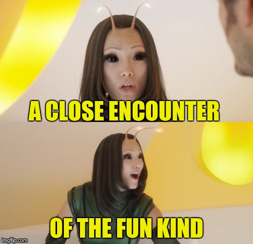 A CLOSE ENCOUNTER OF THE FUN KIND | image tagged in bad pun mantis | made w/ Imgflip meme maker