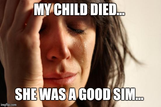 First World Problems Meme | MY CHILD DIED... SHE WAS A GOOD SIM... | image tagged in memes,first world problems | made w/ Imgflip meme maker