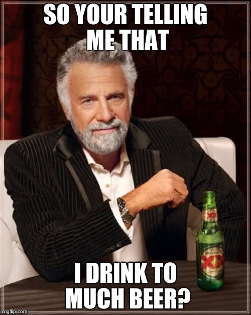 The Most Interesting Man In The World Meme | SO YOUR TELLING ME THAT; I DRINK TO MUCH BEER? | image tagged in memes,the most interesting man in the world | made w/ Imgflip meme maker