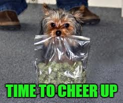 TIME TO CHEER UP | made w/ Imgflip meme maker