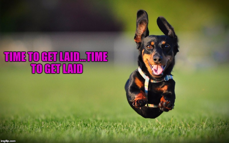 TIME TO GET LAID...TIME TO GET LAID | made w/ Imgflip meme maker