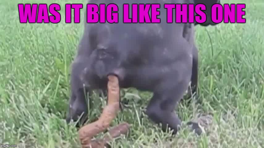 WAS IT BIG LIKE THIS ONE | made w/ Imgflip meme maker