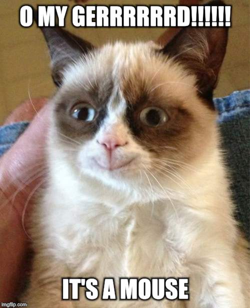 Grumpy Cat Happy | O MY GERRRRRRD!!!!!! IT'S A MOUSE | image tagged in memes,grumpy cat happy,grumpy cat | made w/ Imgflip meme maker