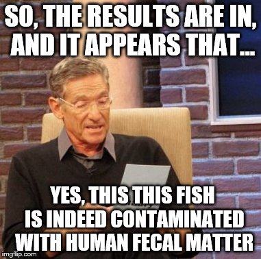 SO, THE RESULTS ARE IN, AND IT APPEARS THAT... YES, THIS THIS FISH IS INDEED CONTAMINATED WITH HUMAN FECAL MATTER | made w/ Imgflip meme maker