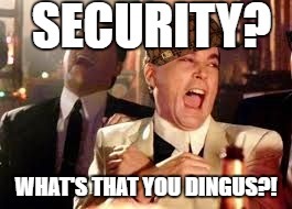Security? Whats That! | image tagged in memes,security,dingus,phoenix,scumbag hat,lol | made w/ Imgflip meme maker