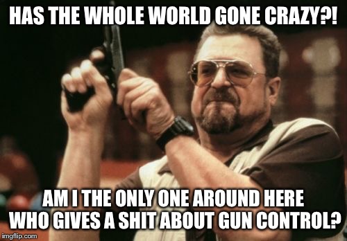 Am I The Only One Around Here Meme | HAS THE WHOLE WORLD GONE CRAZY?! AM I THE ONLY ONE AROUND HERE WHO GIVES A SHIT ABOUT GUN CONTROL? | image tagged in memes,am i the only one around here | made w/ Imgflip meme maker