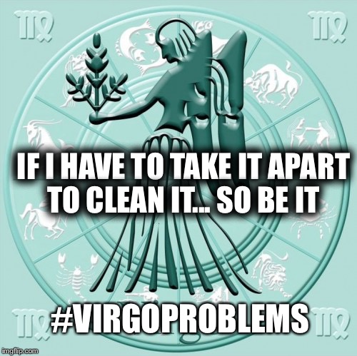 virgo | IF I HAVE TO TAKE IT APART TO CLEAN IT... SO BE IT; #VIRGOPROBLEMS | image tagged in virgo | made w/ Imgflip meme maker