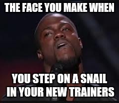 Kevin Hart | THE FACE YOU MAKE WHEN; YOU STEP ON A SNAIL IN YOUR NEW TRAINERS | image tagged in kevin hart | made w/ Imgflip meme maker