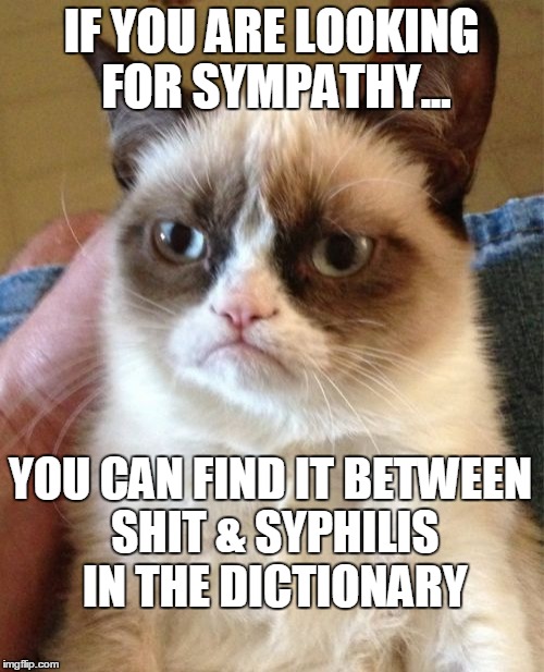 Grumpy Cat | IF YOU ARE LOOKING FOR SYMPATHY... YOU CAN FIND IT BETWEEN SHIT & SYPHILIS IN THE DICTIONARY | image tagged in memes,grumpy cat | made w/ Imgflip meme maker