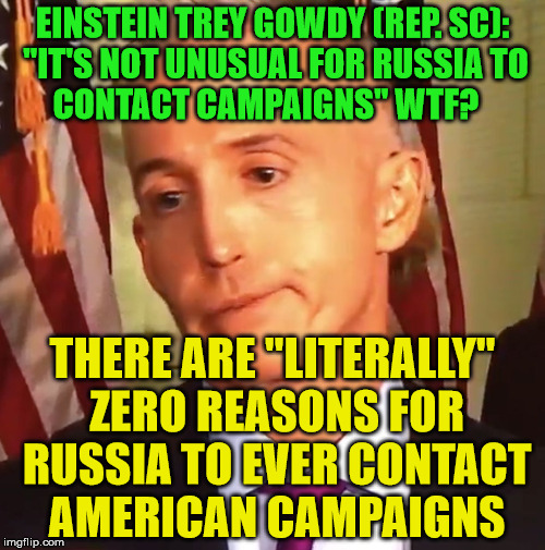 GOB Gowdy | EINSTEIN TREY GOWDY (REP. SC): "IT'S NOT UNUSUAL FOR RUSSIA TO    CONTACT CAMPAIGNS" WTF? THERE ARE "LITERALLY" ZERO REASONS FOR RUSSIA TO EVER CONTACT AMERICAN CAMPAIGNS | image tagged in gob gowdy | made w/ Imgflip meme maker