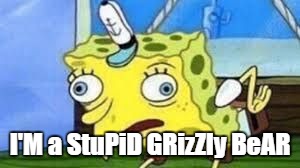 Mocking Spongebob Meme | I'M a StuPiD GRizZly BeAR | image tagged in spongebob mock | made w/ Imgflip meme maker
