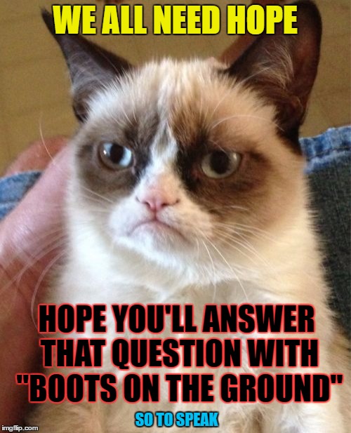 Grumpy Cat Meme | WE ALL NEED HOPE HOPE YOU'LL ANSWER THAT QUESTION WITH "BOOTS ON THE GROUND" SO TO SPEAK | image tagged in memes,grumpy cat | made w/ Imgflip meme maker