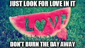 DMB Pig | JUST LOOK FOR LOVE IN IT; DON’T BURN THE DAY AWAY | image tagged in dmb,dave matthews band,pig,watermelon,just look for love in it,dont burn the day away | made w/ Imgflip meme maker