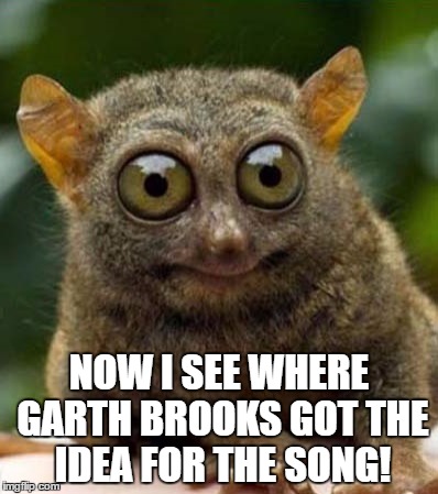 big eyes smiling critter | NOW I SEE WHERE GARTH BROOKS GOT THE IDEA FOR THE SONG! | image tagged in big eyes smiling critter | made w/ Imgflip meme maker