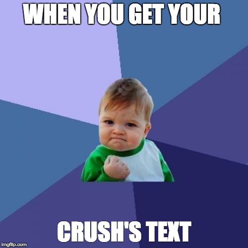 Success Kid Meme | WHEN YOU GET YOUR; CRUSH'S TEXT | image tagged in memes,success kid | made w/ Imgflip meme maker