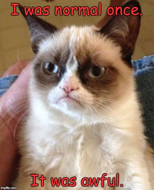 Grumpy Cat | I was normal once. It was awful. | image tagged in memes,grumpy cat | made w/ Imgflip meme maker