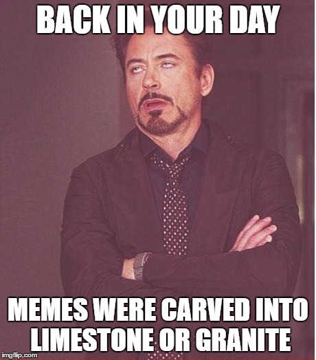 Face You Make Robert Downey Jr Meme | BACK IN YOUR DAY MEMES WERE CARVED INTO LIMESTONE OR GRANITE | image tagged in memes,face you make robert downey jr | made w/ Imgflip meme maker