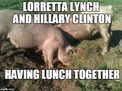 Pigs digging | LORRETTA LYNCH AND HILLARY CLINTON; HAVING LUNCH TOGETHER | image tagged in pigs digging | made w/ Imgflip meme maker