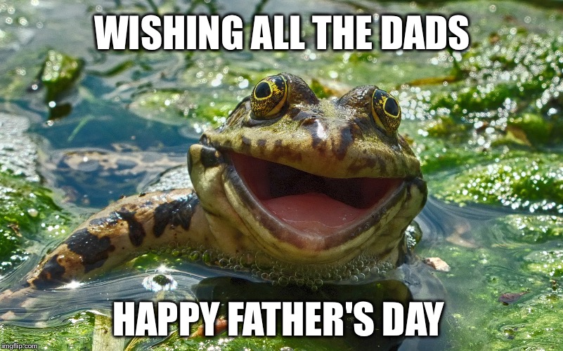 WISHING ALL THE DADS; HAPPY FATHER'S DAY | image tagged in happy frog,fathers day | made w/ Imgflip meme maker