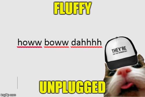 FLUFFY; UNPLUGGED | image tagged in memes,fluffy,grammar nazi | made w/ Imgflip meme maker
