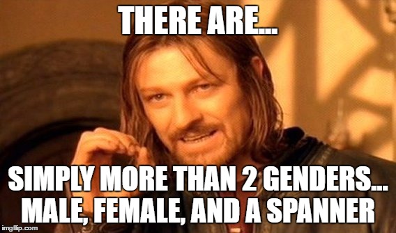 These genders tho... | THERE ARE... SIMPLY MORE THAN 2 GENDERS... MALE, FEMALE, AND A SPANNER | image tagged in memes,one does not simply | made w/ Imgflip meme maker