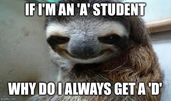 IF I'M AN 'A' STUDENT WHY DO I ALWAYS GET A 'D' | made w/ Imgflip meme maker