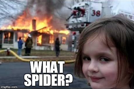 WHAT SPIDER? | made w/ Imgflip meme maker