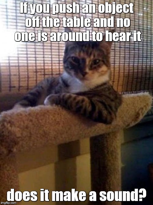 The Most Interesting Cat In The World | If you push an object off the table and no one is around to hear it; does it make a sound? | image tagged in memes,the most interesting cat in the world | made w/ Imgflip meme maker