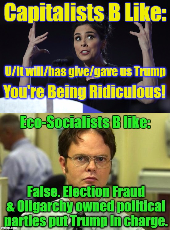 When People blame Greens for Trump's Election | Capitalists B Like:; U/It will/has give/gave us Trump; You're Being Ridiculous! | image tagged in dnc sarah silverman,revolution,dwight schrute,green party,democrats,donald trump | made w/ Imgflip meme maker