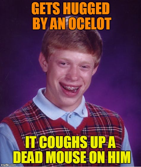 Bad Luck Brian Meme | GETS HUGGED BY AN OCELOT IT COUGHS UP A DEAD MOUSE ON HIM | image tagged in memes,bad luck brian | made w/ Imgflip meme maker