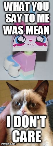 WHAT YOU SAY TO ME WAS MEAN; I DON'T CARE | image tagged in grumpy cat | made w/ Imgflip meme maker