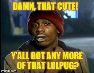 DAMN, THAT CUTE! Y'ALL GOT ANY MORE OF THAT LOLPUG? | made w/ Imgflip meme maker