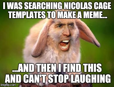 Image result for nicholas cage memes