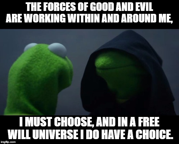 Evil Kermit Meme | THE FORCES OF GOOD AND EVIL ARE WORKING WITHIN AND AROUND ME, I MUST CHOOSE, AND IN A FREE WILL UNIVERSE I DO HAVE A CHOICE. | image tagged in evil kermit meme | made w/ Imgflip meme maker