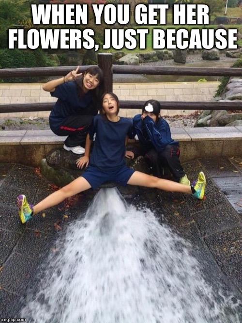 Excited Girls | WHEN YOU GET HER FLOWERS, JUST BECAUSE | image tagged in excited girls | made w/ Imgflip meme maker