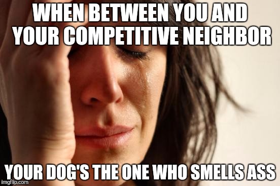 First World Problems | WHEN BETWEEN YOU AND YOUR COMPETITIVE NEIGHBOR; YOUR DOG'S THE ONE WHO SMELLS ASS | image tagged in memes,first world problems | made w/ Imgflip meme maker