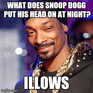 Fo' Rizzle! | WHAT DOES SNOOP DOGG PUT HIS HEAD ON AT NIGHT? ILLOWS | image tagged in snoop dogg,funny,memes,dope,dank memes are dank | made w/ Imgflip meme maker