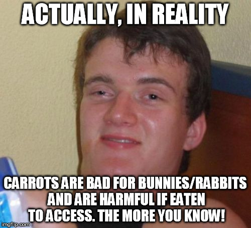 ACTUALLY, IN REALITY CARROTS ARE BAD FOR BUNNIES/RABBITS AND ARE HARMFUL IF EATEN TO ACCESS. THE MORE YOU KNOW! | image tagged in memes,10 guy | made w/ Imgflip meme maker