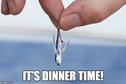 IT'S DINNER TIME! | made w/ Imgflip meme maker