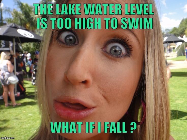 Fear Of Heights - Swimming DOES Help | THE LAKE WATER LEVEL IS TOO HIGH TO SWIM; WHAT IF I FALL ? | image tagged in memes | made w/ Imgflip meme maker