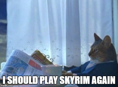 I Should Buy A Boat Cat Meme | I SHOULD PLAY SKYRIM AGAIN | image tagged in memes,i should buy a boat cat,gaming | made w/ Imgflip meme maker