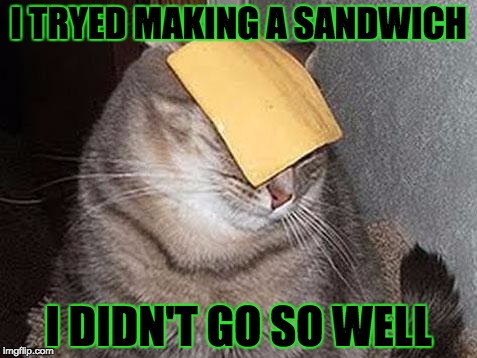 Cats with cheese | I TRYED MAKING A SANDWICH; I DIDN'T GO SO WELL | image tagged in cats with cheese | made w/ Imgflip meme maker